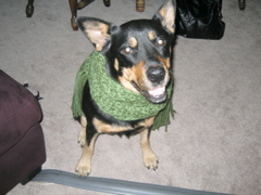 Jango scarf